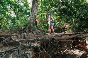 BIB: 
                            <button type="button" onclick="openModal(27800103)" class="btn btn-primary btn-sm float-right btn-popup" data-toggle="modal" data-target=".modal-high-quality">
                        <i class="fas fa-shopping-cart"></i> Add to Cart
                    </button>
                                            <button type="button" onclick="isThisMe(27800103, true)" class="btn btn-success btn-sm float-right btn-popup btn-isme hidden" data-toggle="tooltip" data-placement="bottom" title="นี่คือรูปของคุณใช่ไหม คลิกที่นี่เพื่อเอาเข้าอัลบั้ม">
                        <i class="fas fa-plus"></i> Add to album
                    </button>
                    <button type="button" onclick="isThisMe(27800103, false)" class="btn btn-warning btn-sm float-right btn-popup btn-isnotme hidden">
                        <i class="fas fa-ban"></i> Remove from album
                    </button>